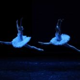 choros_2014_2014 - 2459