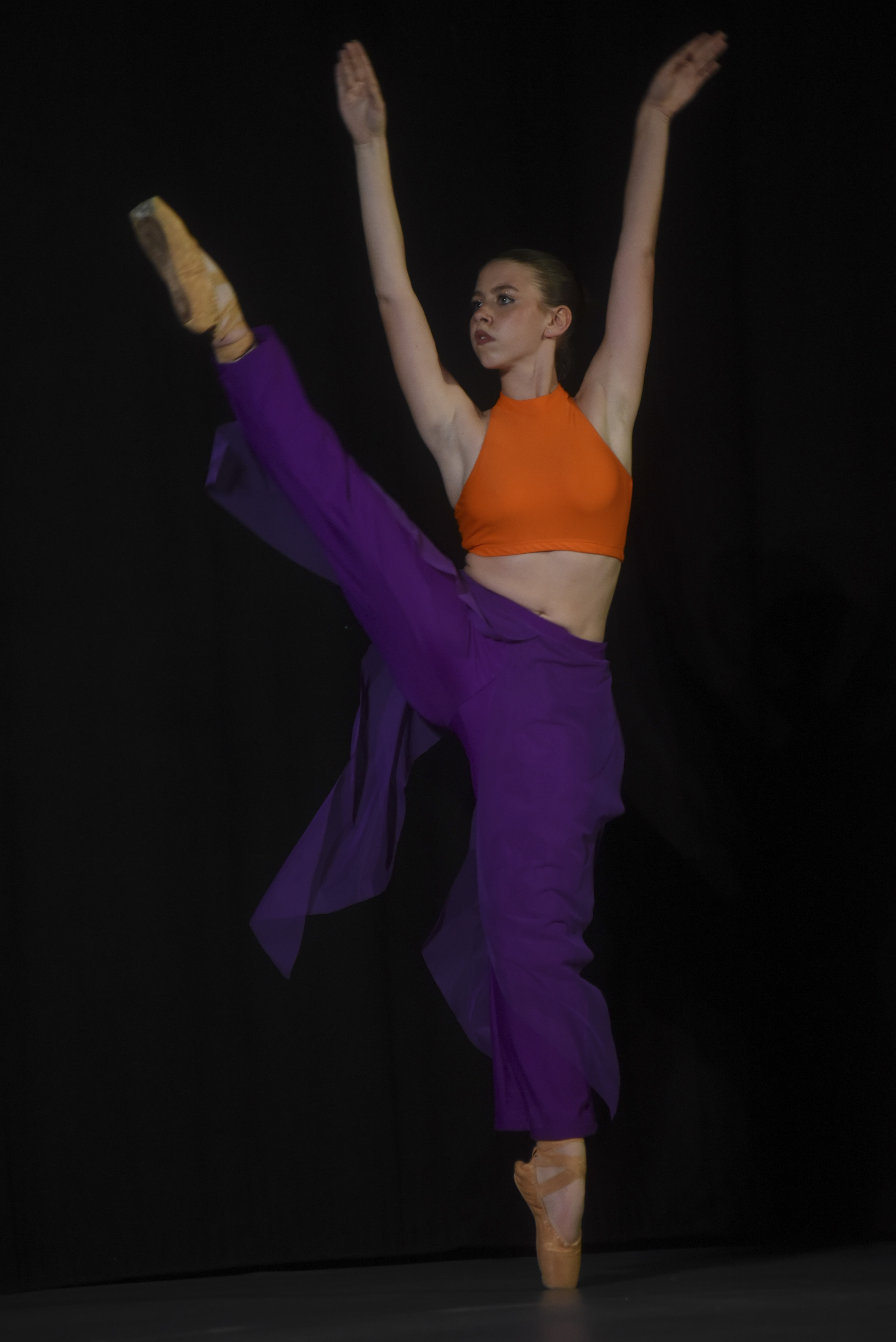 Danza classica saggio 2026