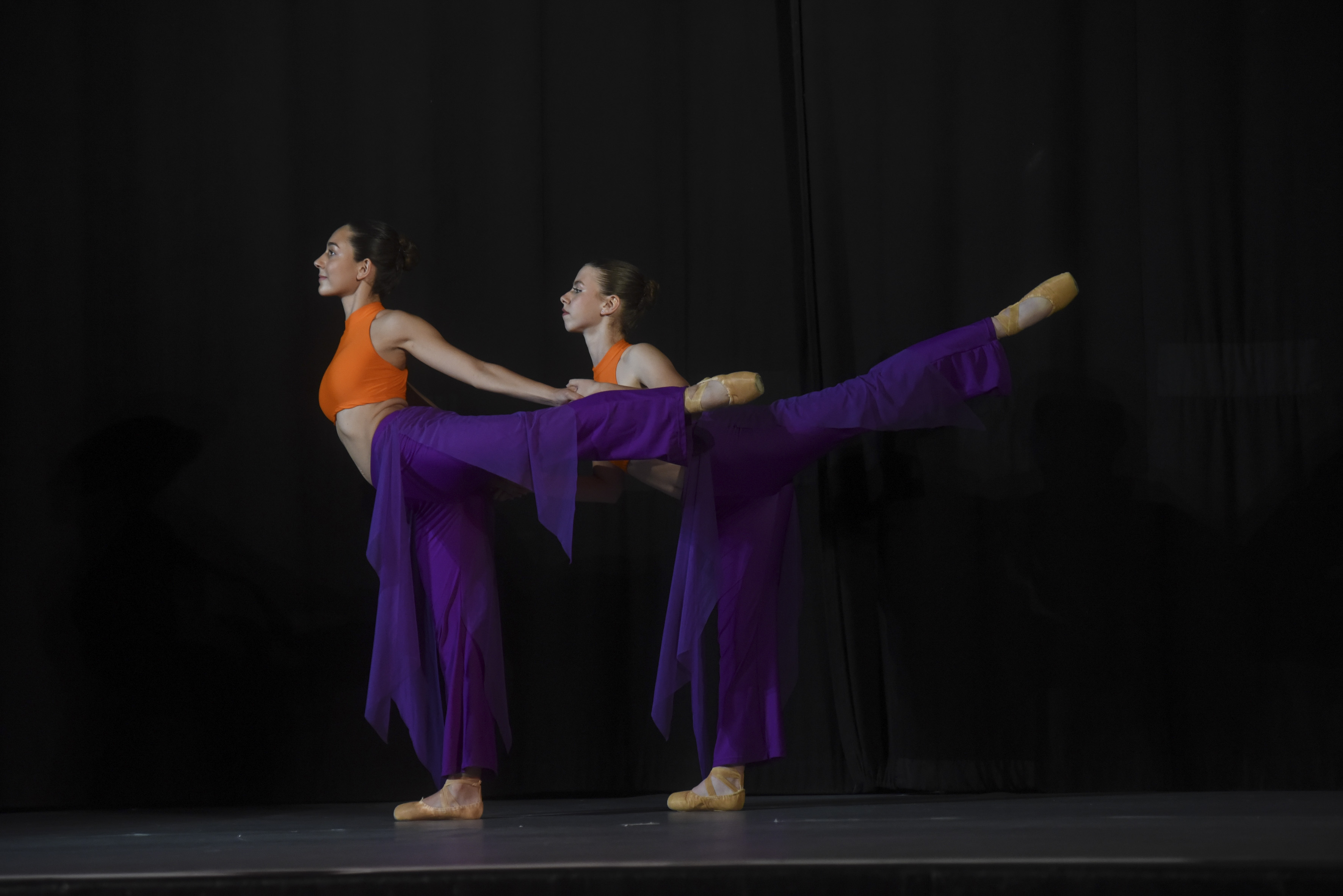 Danza classica saggio 2026